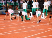 米兰体育下载-包含澳大利亚女足赛场上演激动人心的一幕的词条