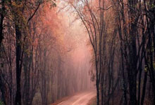 米兰体育,-红牛之翼撕裂德甲夜空！RB莱比锡的霸权方程式解密