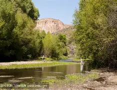 阿拉维斯要继续前进，追赶对手